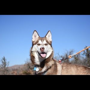 Meet your Posher, Jaymijaymi